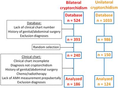 Anti-Müllerian Hormone and Testicular Function in Prepubertal Boys With Cryptorchidism